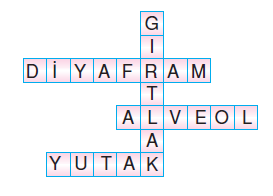 6.sınıf Konu Testi | Bilgicik.Com - Türkçe, Edebiyat, Teknoloji