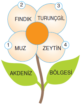 Ülkemizin Kaynakları Konu Testi 2 | Bilgicik.Com - Türkçe, Edebiyat