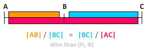 Altin Oran Evrenin Matematigi Altin Oran Altin Oran Nedir Fibonacci Sayilari Insanda Altin Oran Nerelerde Kullanilir Bilgicik Com Bilgicik Com