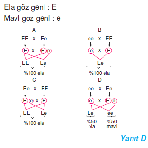 1 cozum