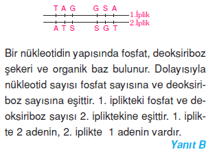 5 cozum