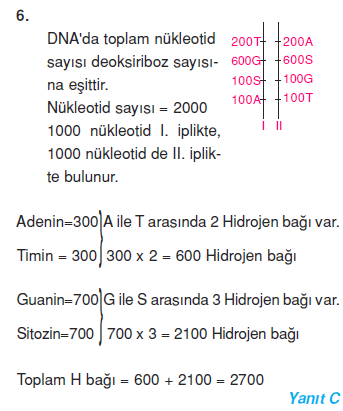 6 cozum