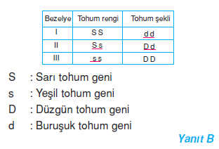 7 cozum