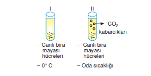 9c