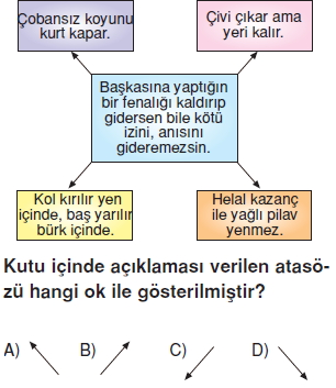 Görüntü 000