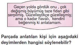Görüntü 001