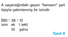 Görüntü 001