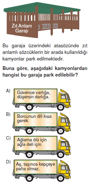 Görüntü 002
