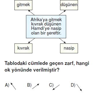 Görüntü 002