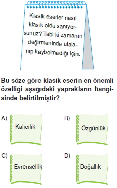 Görüntü 003
