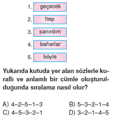Görüntü 003