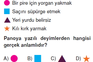 Görüntü 003