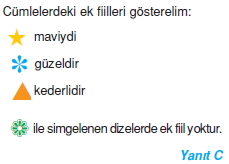 Görüntü 003