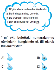 Görüntü 003