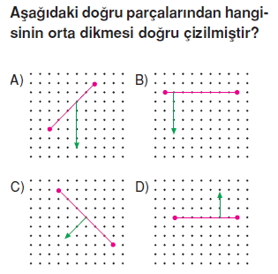 Görüntü 003