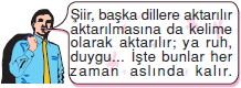Görüntü 003