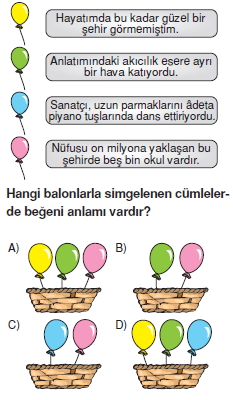 Görüntü 004