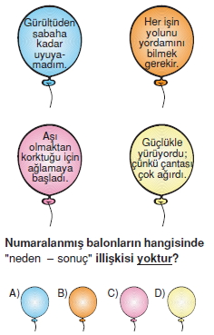 Görüntü 004