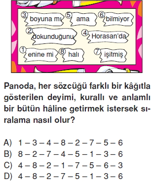 Görüntü 004