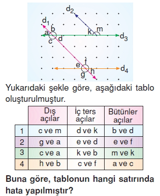 Görüntü 004