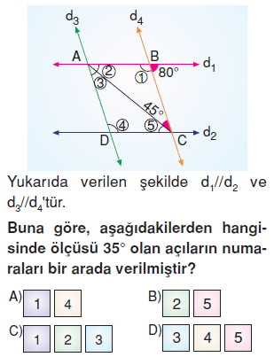 Görüntü 004