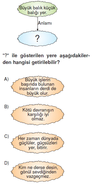 Görüntü 005