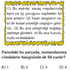 Görüntü 005