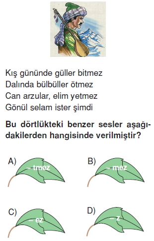 Görüntü 005