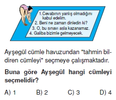 Görüntü 006