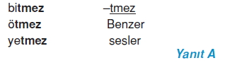Görüntü 006