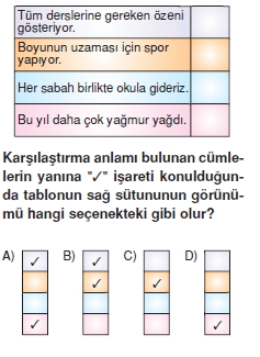 Görüntü 006