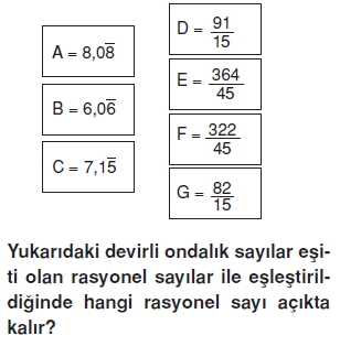 Görüntü 007