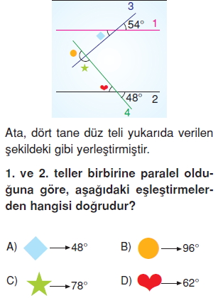 Görüntü 007