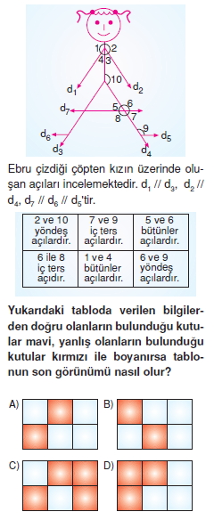 Görüntü 008