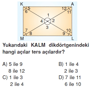 Görüntü 008