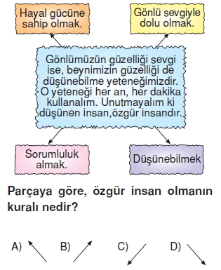 Görüntü 008