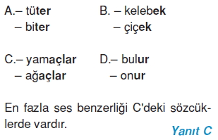 Görüntü 009