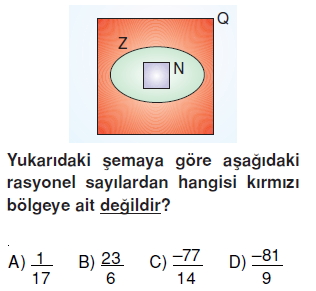 Görüntü 009