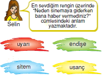 Görüntü 009