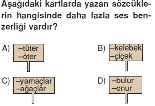 Görüntü 010