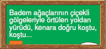 Görüntü 011