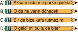 Görüntü 013