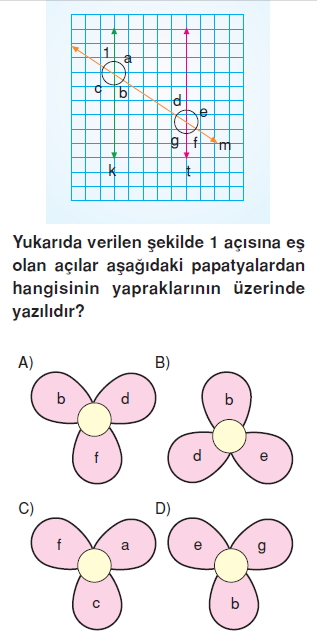 Görüntü 014