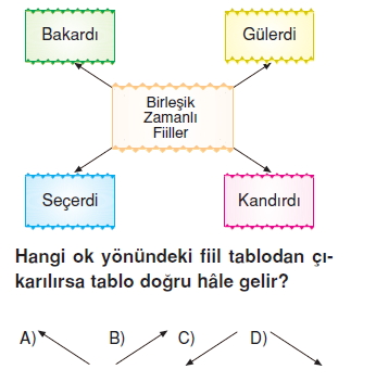 Görüntü 016