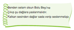 Görüntü 017