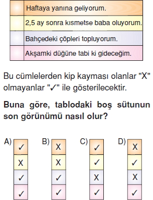 Görüntü 018