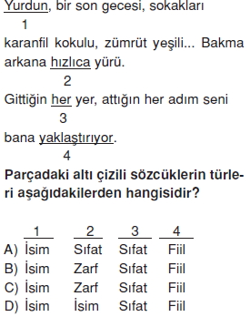 Görüntü 018