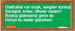 Görüntü 020