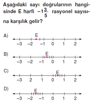 Görüntü 023