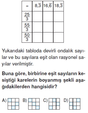 Görüntü 031